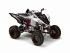 quad Yamaha occasion NOUVEAU RAPTOR TRIBAL NEUF HOMOLOGUE